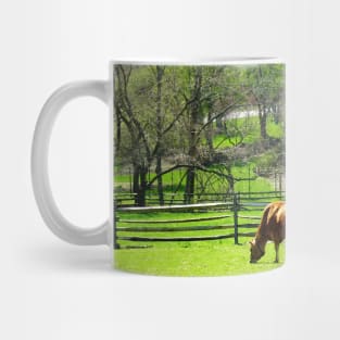 Cows - Cow Grazing in Pasture in Spring Mug